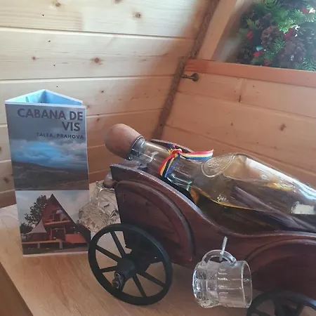 Ciubar Si Sauna La De Vis Valea Prahovei Chalet