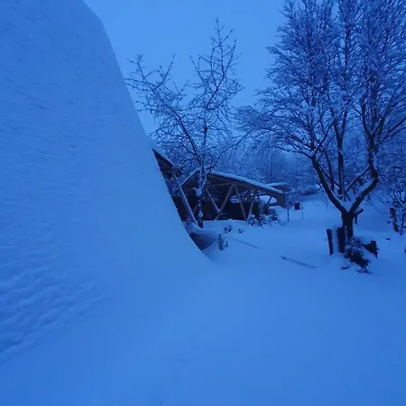 Ciubar Si Sauna La De Vis Valea Prahovei * Talea