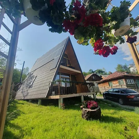 Chalet Ciubar Si Sauna La De Vis Valea Prahovei Talea