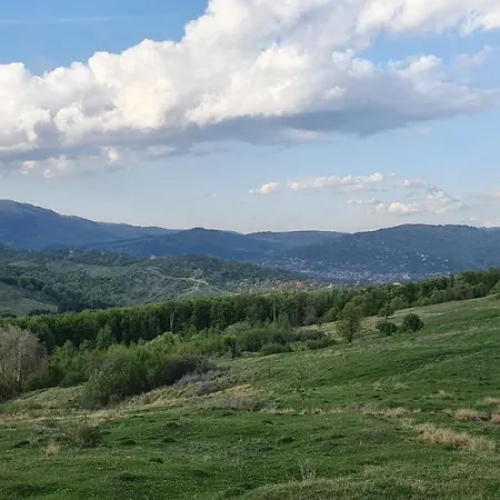 Ciubar Si Sauna La De Vis Valea Prahovei * Talea