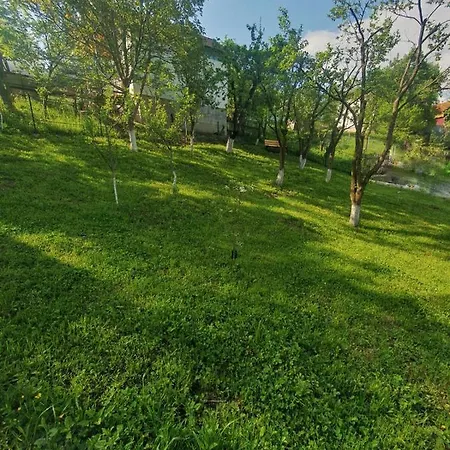 Ciubar Si Sauna La De Vis Valea Prahovei *