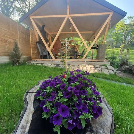 Ciubar Si Sauna La De Vis Valea Prahovei Chalet *