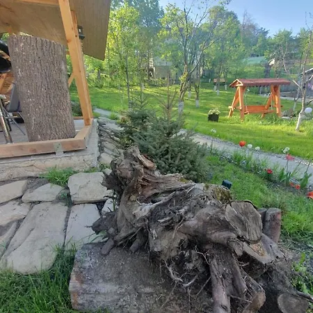 Ciubar Si Sauna La De Vis Valea Prahovei * Talea