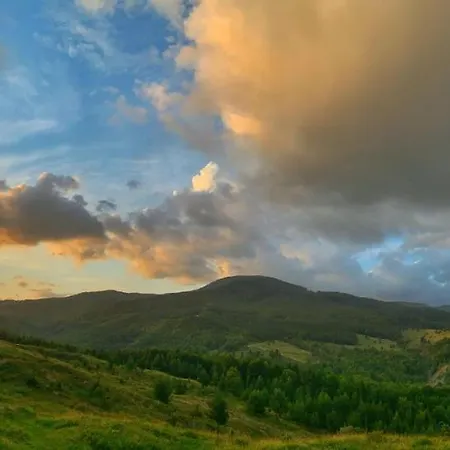 Ciubar Si Sauna La De Vis Valea Prahovei Chalet